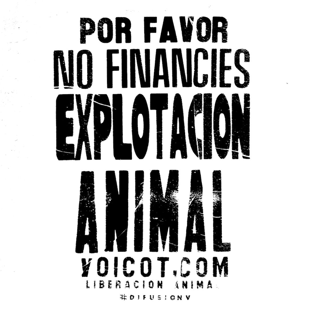 abstract black and white image letterforms