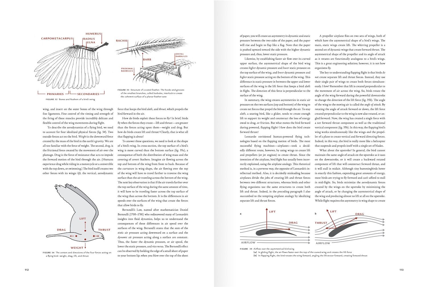 book layout