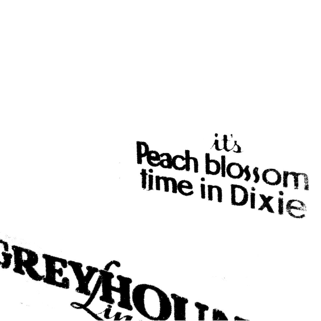 abstract black and white image letterforms