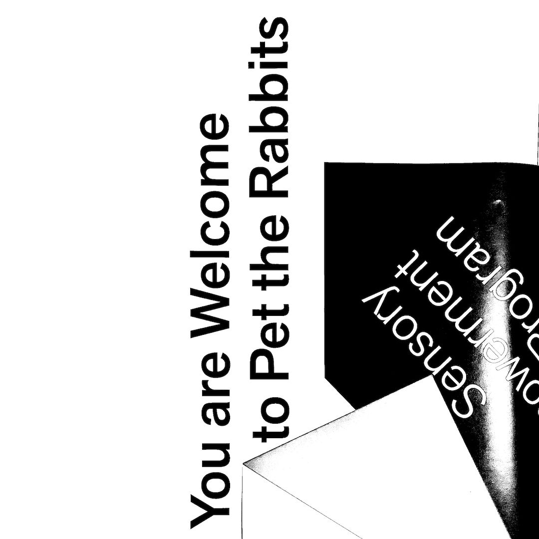 abstract black and white image letterforms