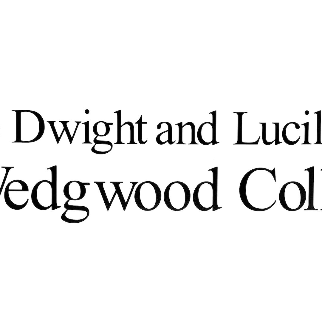 abstract black and white image letterforms