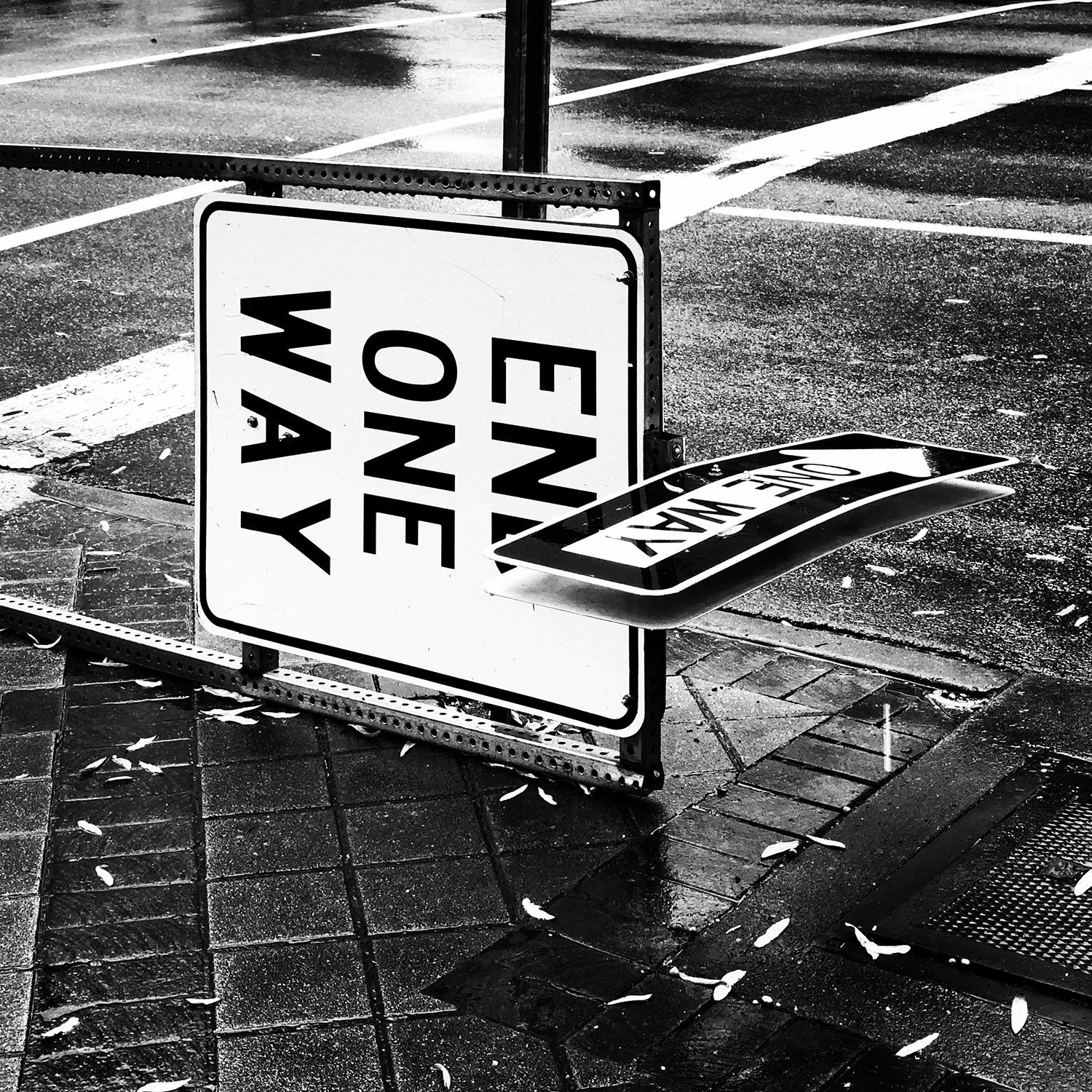 photography depicting a one way sign fallen over