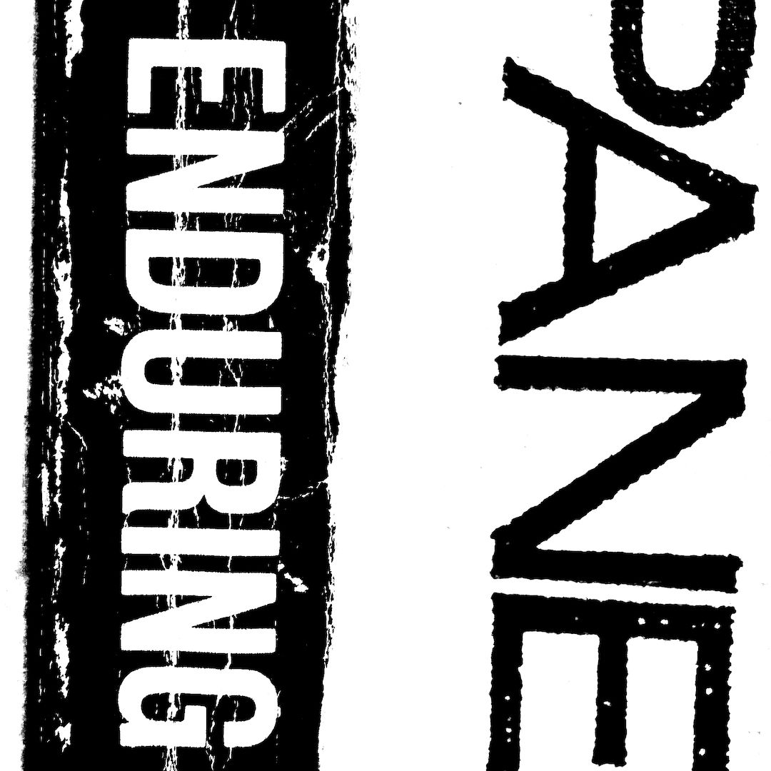 abstract black and white image letterforms