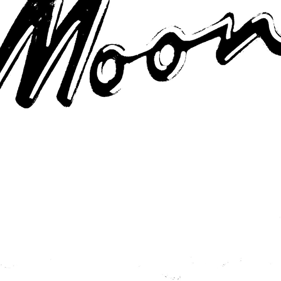 abstract black and white image letterforms