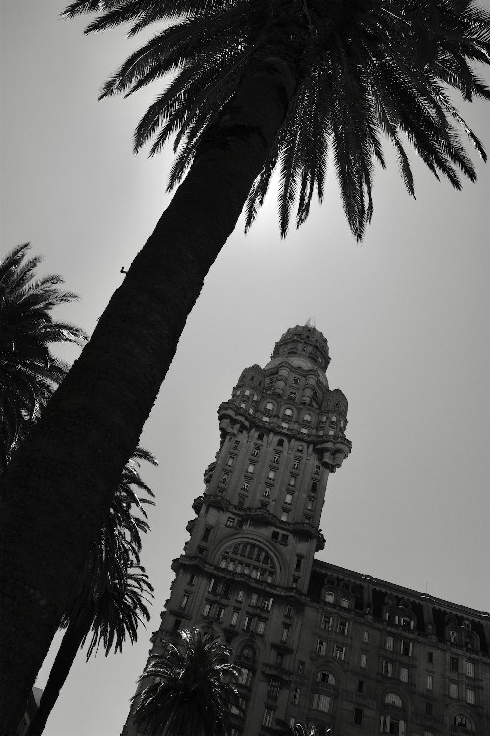 palacio salvo in Montevideo at an angle with a palm tree in foreground in black and white