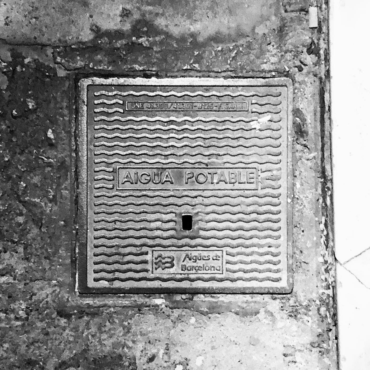 black and white image of a utility cover