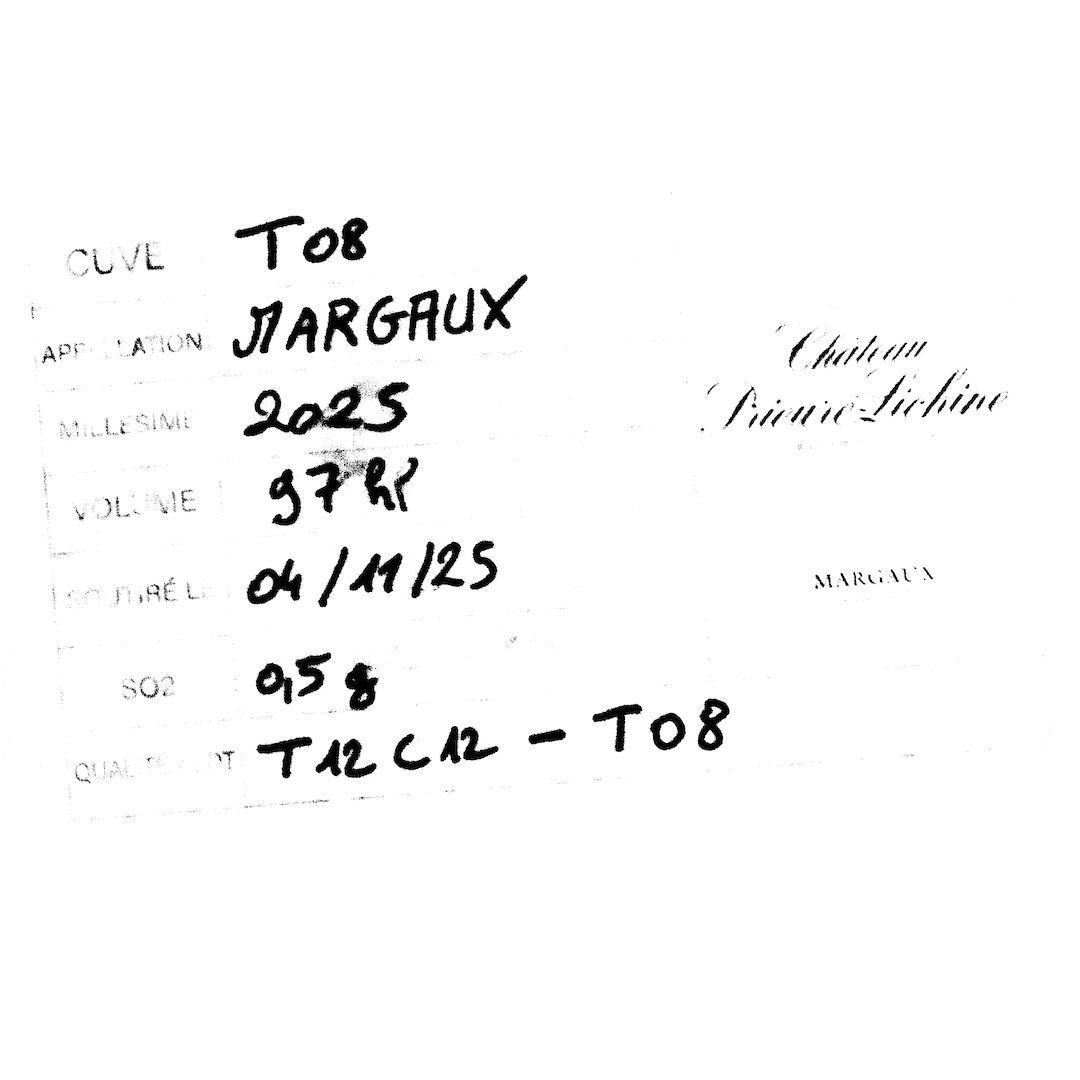 abstract black and white image letterforms