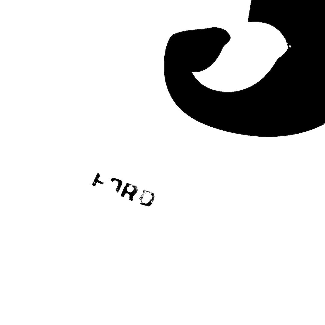 abstract black and white image letterforms