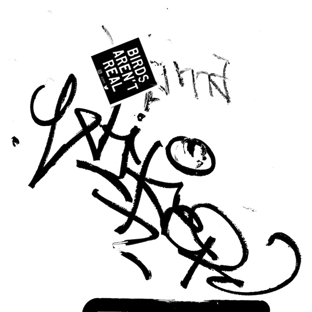abstract black and white image letterforms