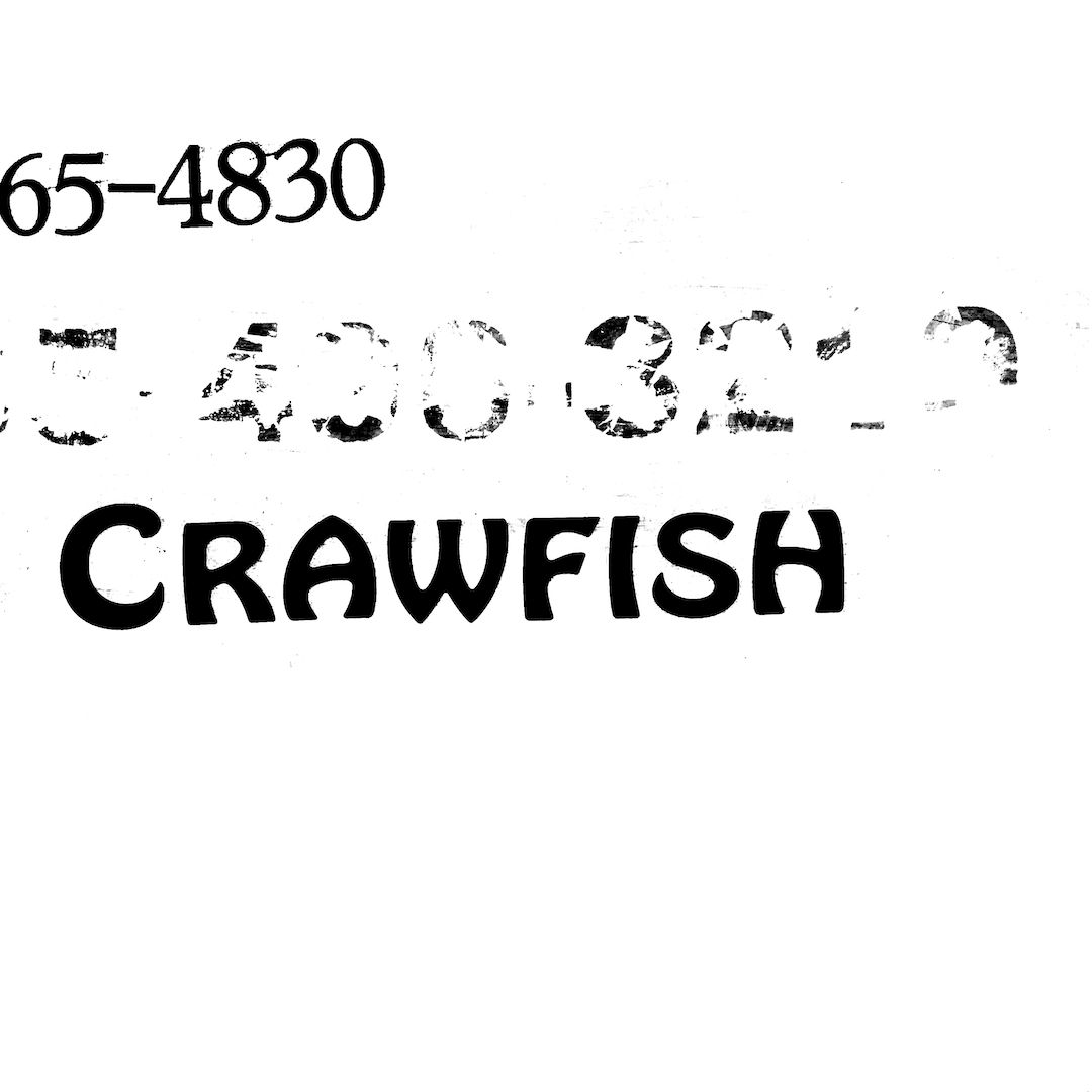 abstract black and white image letterforms