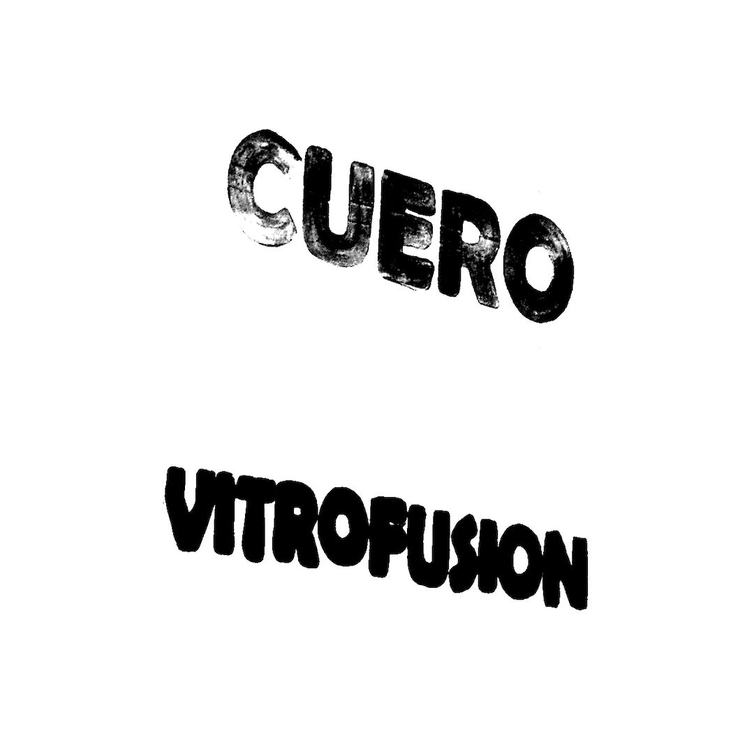 abstract black and white image letterforms