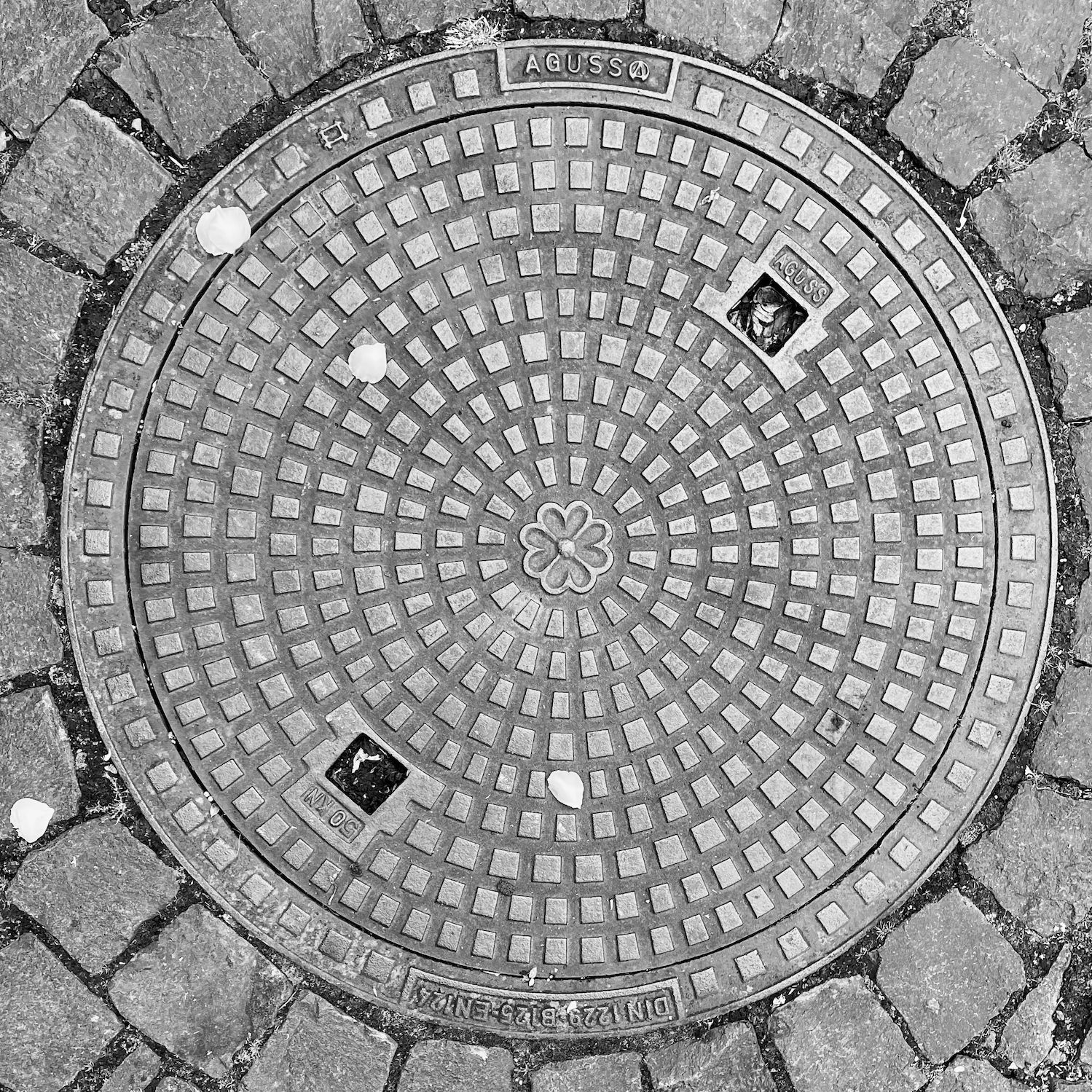 black and white image of a utility cover